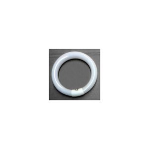 22 WATT CIRCLE FLUORESCENT BULB by Mg Electronics 22 WATT CIRCLE FLUORESCENT BULB by Mg Electronics