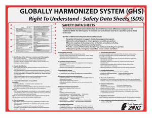 POSTER SDS TRAINING 18 X 24IN by ZING Green Safety Products