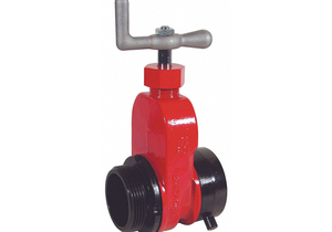 GATE VALVE SINGLE 2-1/2 IN NST by Dixon Valve and Coupling