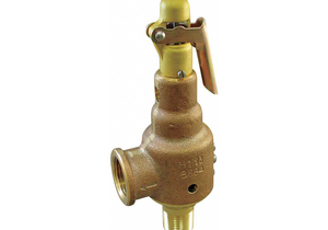D4487 SAFETY RELIEF VALVE 1-1/2 X 2 IN 100 PSI by Kunkle