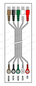 5 LEAD 30" TWIN PIN TO SNAP LEADWIRE SET 