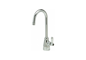 GOOSENECK CHROME ZURN AQUASPEC BRASS by Zurn Industries LLC