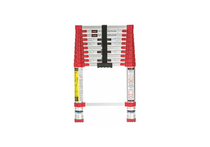 TELESCOPING LADDER EXTENDED 10 FT 6 H by Core Distribution, Inc.