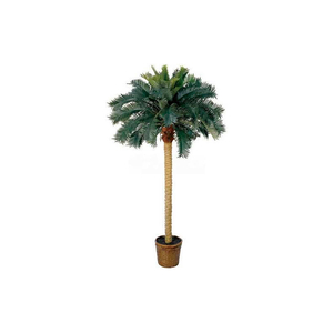 6' SAGO PALM SILK TREE by Nearly Natural