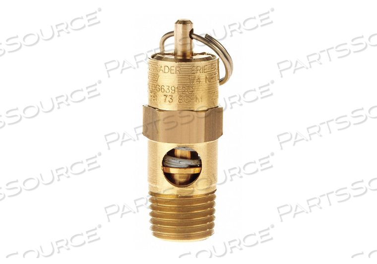 PRESSURE RELIEF VALVE 100 PSI by Conrader PRESSURE RELIEF VALVE 100 PSI by Conrader