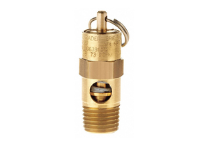 PRESSURE RELIEF VALVE 100 PSI by Conrader