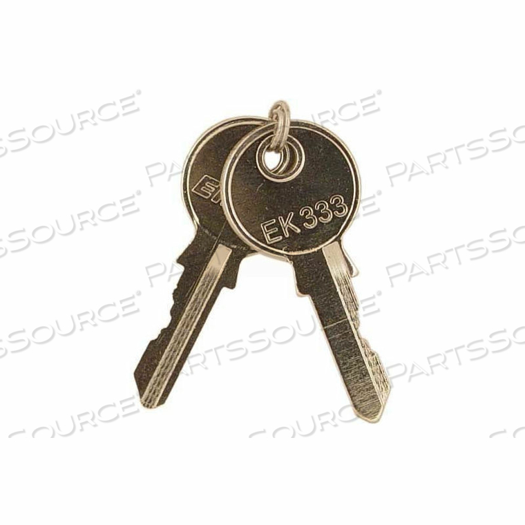 REPLACEMENT KEYS, SET OF TWO, FOR KEY LATCHED METAL HOUSINGS by RIB