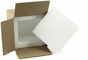 TRANSPORT COOLER KIT 10 X 10 X 10 INCH (30 PER CASE) by McKesson TRANSPORT COOLER KIT 10 X 10 X 10 INCH (30 PER CASE) by McKesson