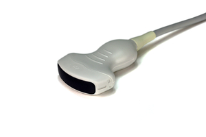 4C1 CURVED TRANSDUCER (SEQUOIA) by Siemens Medical Solutions