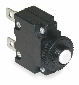 CIRCUIT BREAKER 10A THERMAL 125/250VAC by Carling Technologies