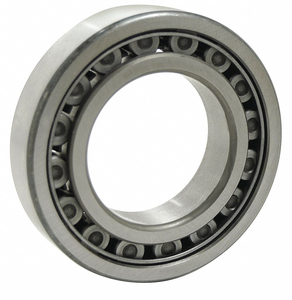 ROLLERBEARING 55MM BORE 100MM 21MMW by MTK