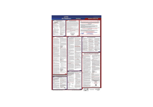 LABOR LAW POSTER FED/STA NC SP 26INH 3YR by J.J. Keller & Associates