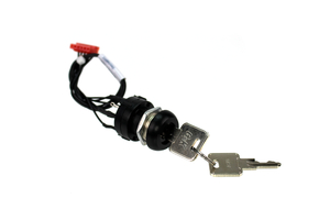 KEY SWITCH, HARNESS, ROHS COMPLIANT STANDARDS by Thermo Fisher Scientific (Asheville)