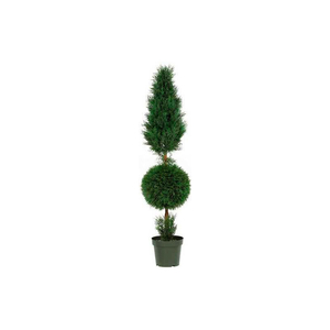 5' CYPRESS BALL AND CONE SILK TREE (INDOOR/OUTDOOR) by Nearly Natural