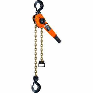 SERIES 653 RATCHET CHAIN LEVER HOIST, 2T CAPACITY, 5' LIFT by Columbus McKinnon