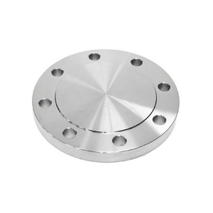 BLIND FLANGE 316L SS 8 NPS by Guardianmade