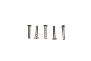 T10 TAMPER PROOF SCREWS 3/4 INCH (5 PACK) FOR CABLE CLASP by Voytek Inc.