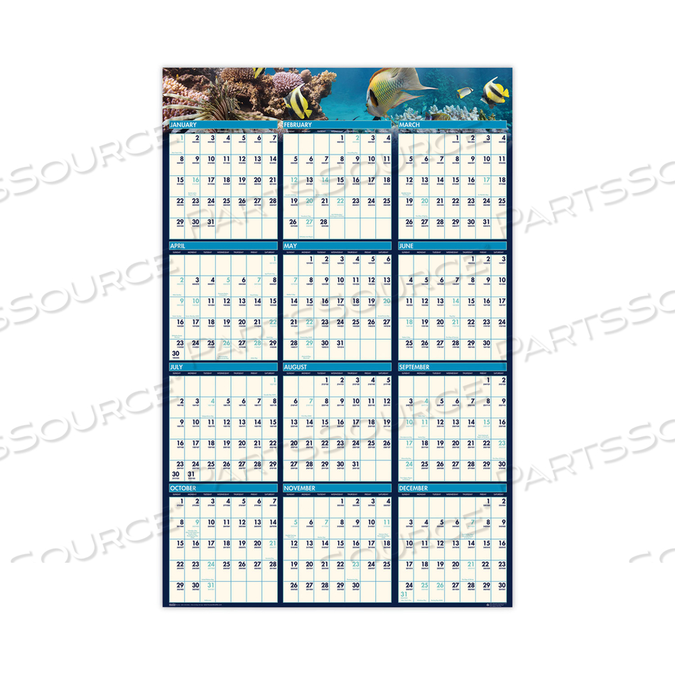 EARTHSCAPES RECYCLED REVERSIBLE/ERASABLE YEARLY WALL CALENDAR, SEA LIFE PHOTOS, 24 X 37, WHITE SHEETS, 12-MONTH(JAN-DEC):2023 by House Of Doolittle