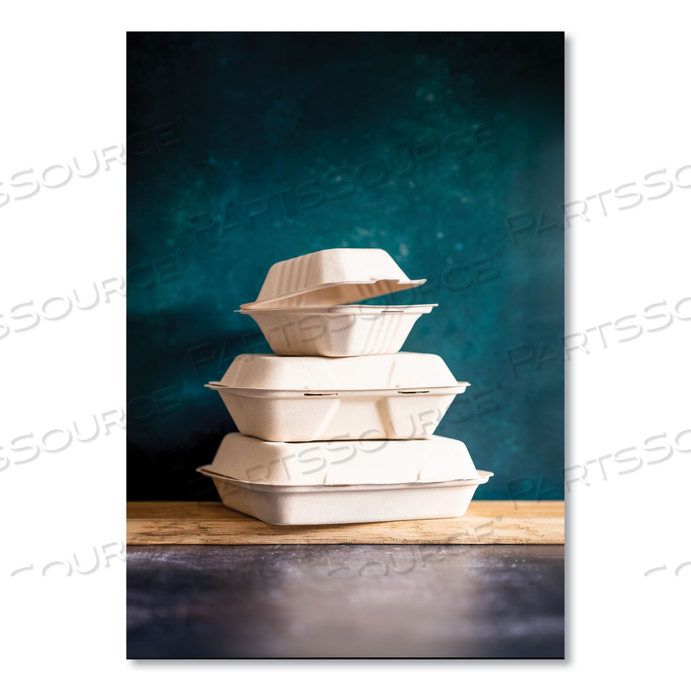 WHITE MOLDED FIBER CLAMSHELL CONTAINERS, 9 X 18 X 2, WHITE, SUGARCANE by Vegware WHITE MOLDED FIBER CLAMSHELL CONTAINERS, 9 X 18 X 2, WHITE, SUGARCANE by Vegware