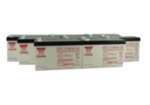 12V 9AH F2 FASTON REPLACEMENT SEALED LEAD ACID BATTERY FOR UPSONIC CXR2000, IRT3000 UPS by R&D Batteries, Inc.