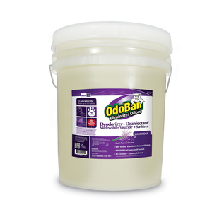 CONCENTRATED ODOR ELIMINATOR AND DISINFECTANT, LAVENDER SCENT, 5 GAL PAIL by Odoban