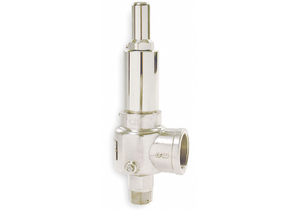 D4507 POP SAFETY VALVE 1 X 1-1/2 IN 50 PSI by Apollo Valves (a Conbraco Company)