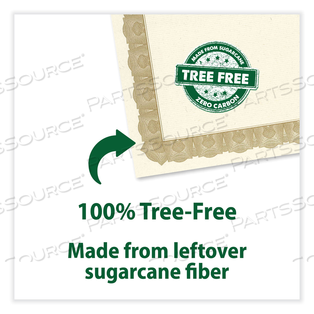 TREE FREE AWARD CERTIFICATES, 8.5 X 11, NATURAL WITH GOLD BRAIDED BORDER, 15/PACK 