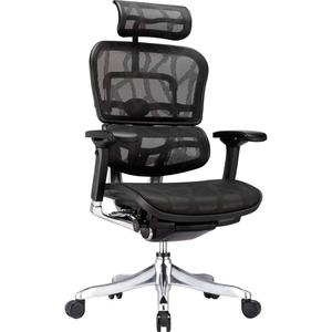 EUROTECH ERGO ELITE EXECUTIVE HIGH BACK CHAIR - BLACK MESH by Raynor Marketing