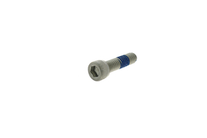 SCREW, POLE CLAMP MOUNTING PLATE by CareFusion Alaris / 303