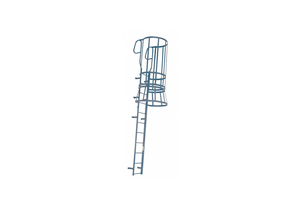 FIXED LADDER W/SAFETY CAGE 24 FT 8 IN H by Cotterman