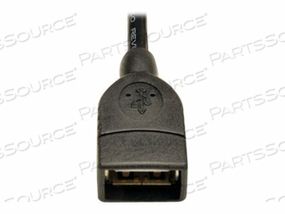 USB 2.0 A FEMALE TO USB MOTHERBOARD 4-PIN IDC HEADER CABLE 6 IN by Tripp Lite