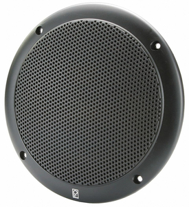 OUTDOOR SPEAKERS BLACK 2-1/2IN.D 40W PR by Poly-Planar