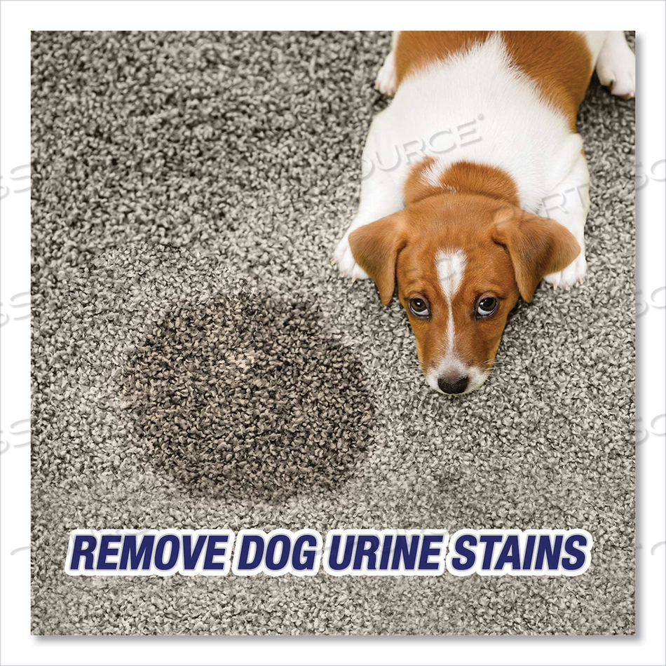 URINE DESTROYER, CITRUS, 32 OZ SPRAY BOTTLE by Resolve