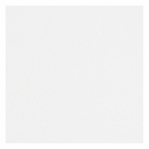 GASKET SHEET, EPTFE, 1/16 IN THICK, 30 IN W, 30 IN LG, WHITE by Teadit GASKET SHEET, EPTFE, 1/16 IN THICK, 30 IN W, 30 IN LG, WHITE by Teadit