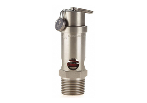 SAFETY VALVE SOFT SEAT 3/4IN 125 PSI SS by Conrader