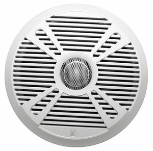 OUTDOOR SPEAKERS WHITE/GRAPHITE 3IN.D PR by Poly-Planar