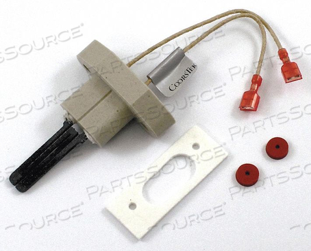 120V HSI IGNITER KIT by Raypak