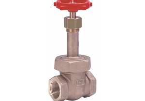 GATE VALVE CLASS 300 1-1/4 IN. by Milwaukee Valve