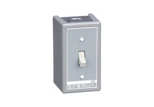 MANUAL MOTOR SWITCH NEMA 30A 600V by Square D MANUAL MOTOR SWITCH NEMA 30A 600V by Square D
