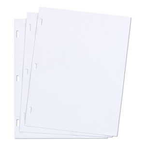 LEDGER SHEETS FOR CORPORATION AND MINUTE BOOK, 11 X 8.5, WHITE, LOOSE SHEET, 100/BOX by Wilson Jones