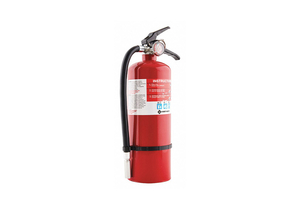 FIRE EXTINGUISHER RECHARGABLE 3A 40B C by First Alert