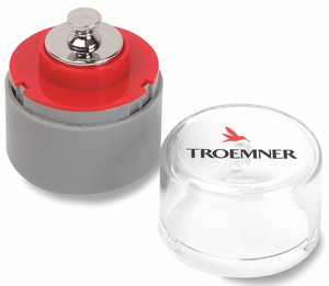 WEIGHT CYLINDER 100G ALLOY 8 SS CLASS 4 by Troemner, LLC
