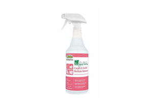 SPOT AND STAIN REMOVER 32 OZ. PK12 by Odoban