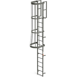 PRODUCTS STEEL FIXED CAGE LADDER, 14 STEPS, GRAY by EGA Products, Inc.