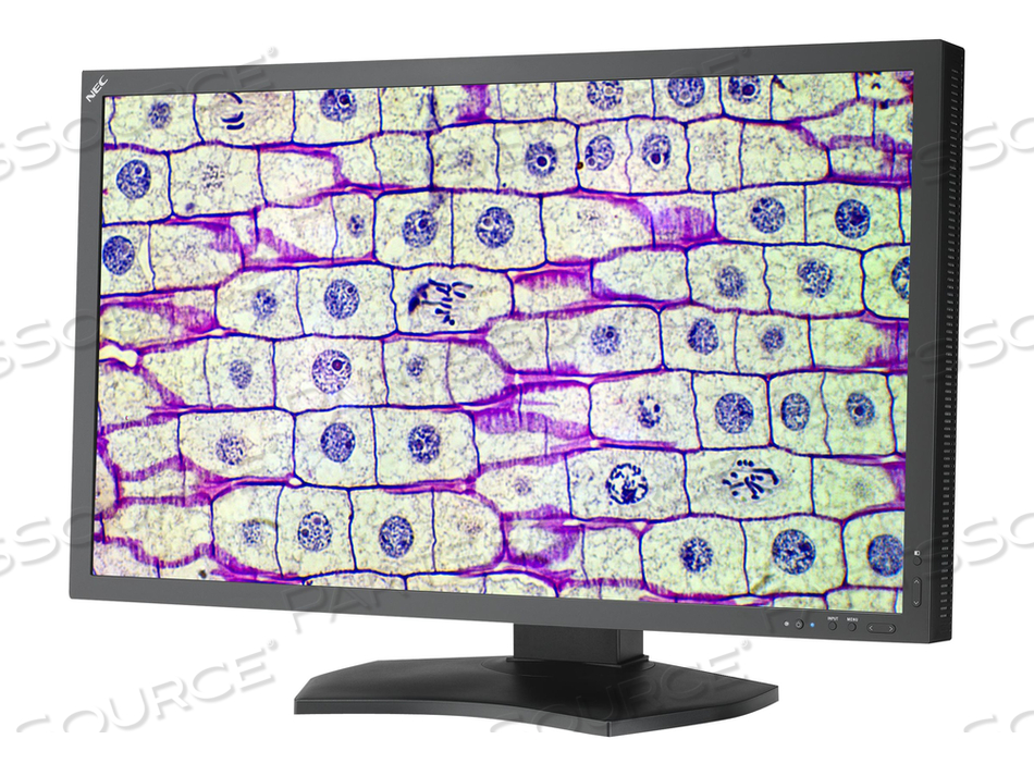 31.5” 8 MEGAPIXEL MEDICAL REVIEW DISPLAY WITH LED 