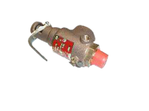 0.75" 45PSI SAFETY VALVE by Primus Sterilizer