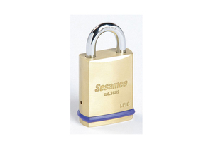 KEYED PADLOCK 25/32 IN RECTANGLE GOLD by Sesamee