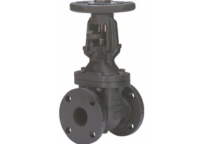 GATE VALVE CLASS 125 2-1/2 IN. by Milwaukee Valve