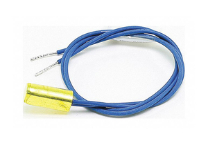 WATER SENSOR by Raypak