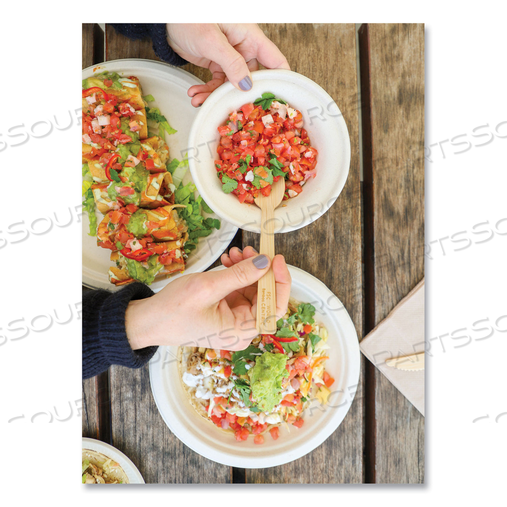 BAMBOO CUTLERY, SPOON, 6.7", NATURAL by World Centric